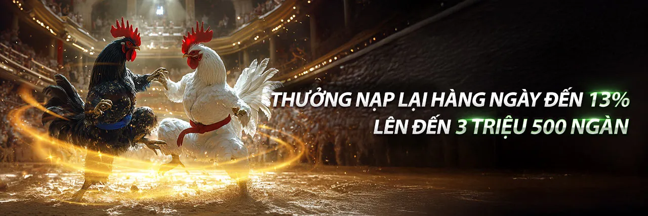 Đá gà trực tiếp lc888, sảnh cược kịch tính